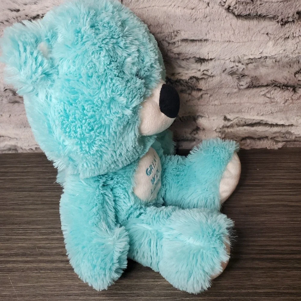 Great Wolf Lodge Aqua Turquoise Teddy Bear Plush‎ Stuffed Toy Souvenir Shop